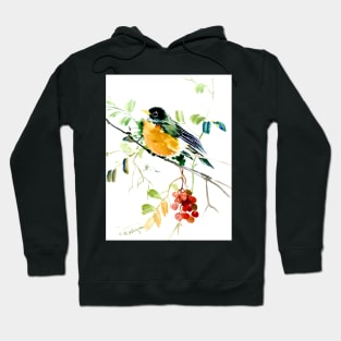 American Robin Hoodie